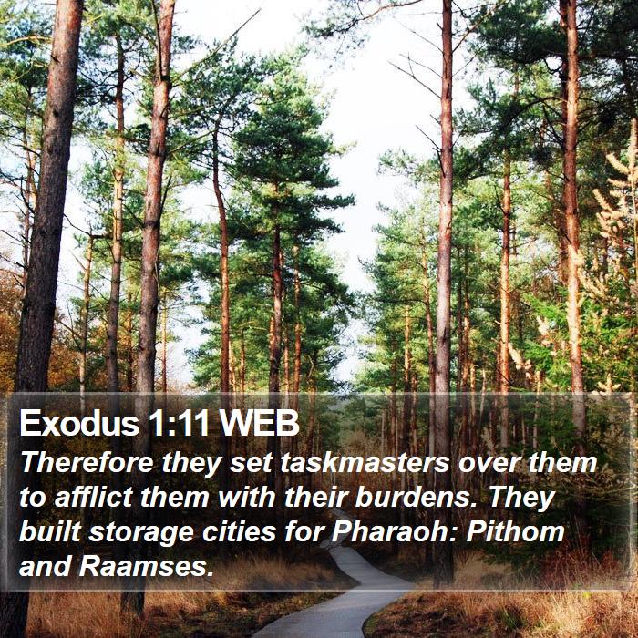 Exodus 1:11 WEB Bible Study