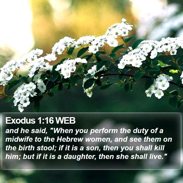 Exodus 1:16 WEB Bible Study