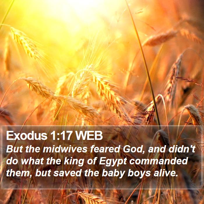 Exodus 1:17 WEB Bible Study