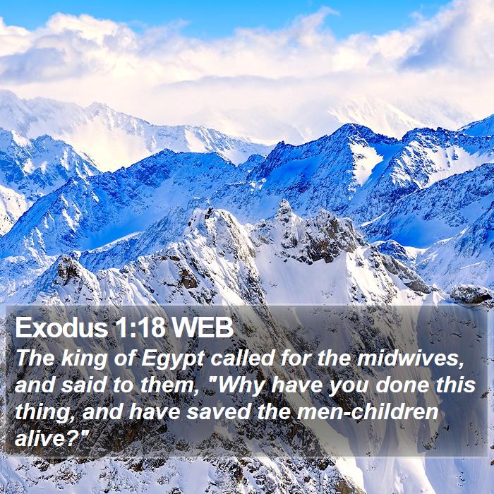 Exodus 1:18 WEB Bible Study