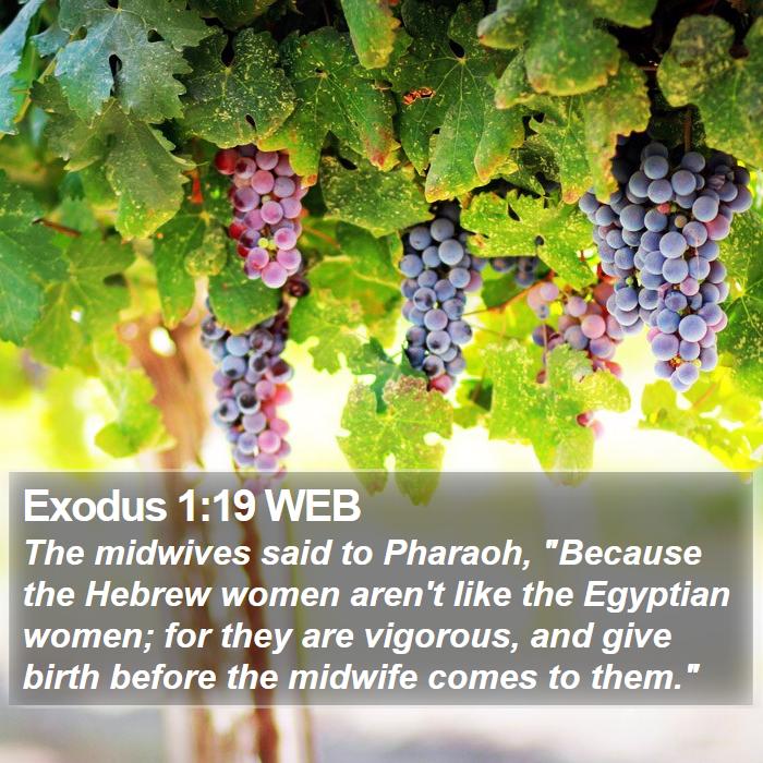 Exodus 1:19 WEB Bible Study