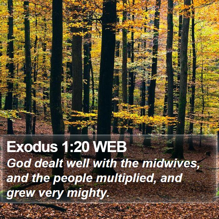 Exodus 1:20 WEB Bible Study