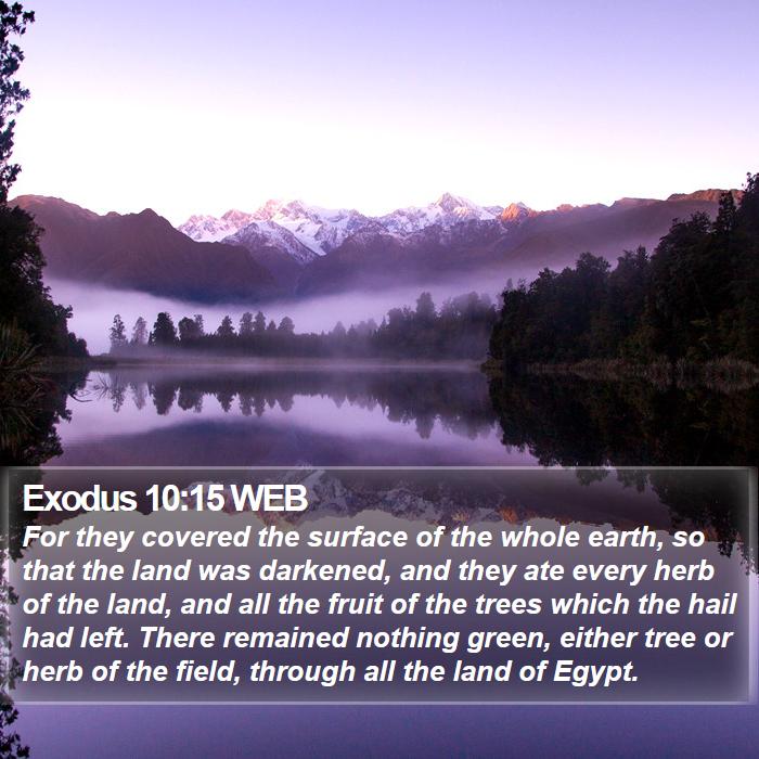 Exodus 10:15 WEB Bible Study