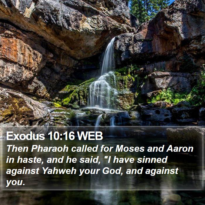 Exodus 10:16 WEB Bible Study