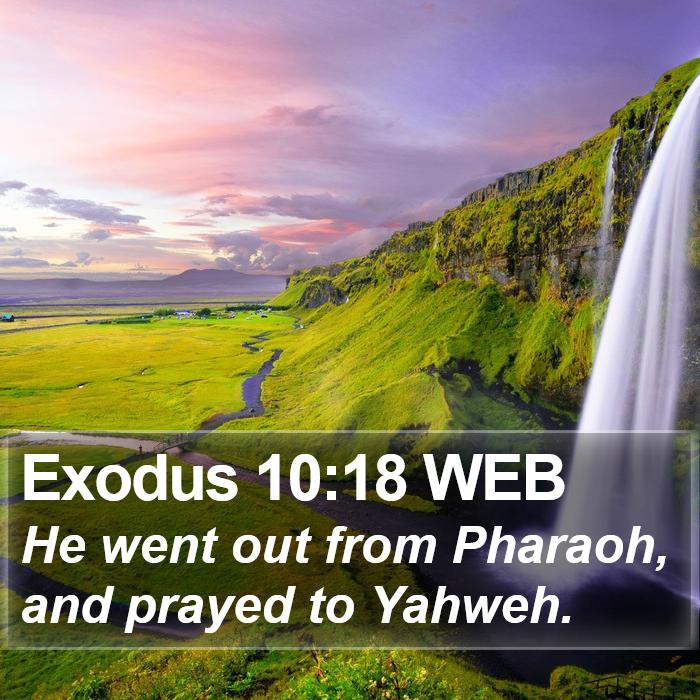 Exodus 10:18 WEB Bible Study