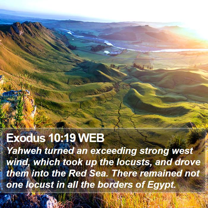 Exodus 10:19 WEB Bible Study