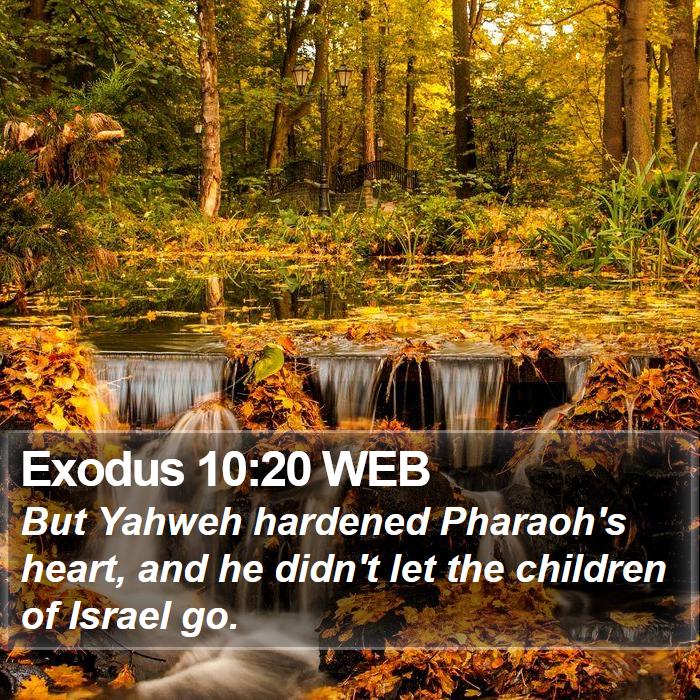 Exodus 10:20 WEB Bible Study