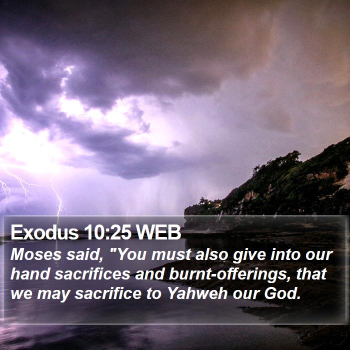 Exodus 10:25 WEB Bible Study