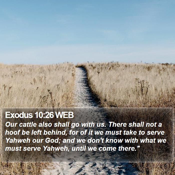 Exodus 10:26 WEB Bible Study