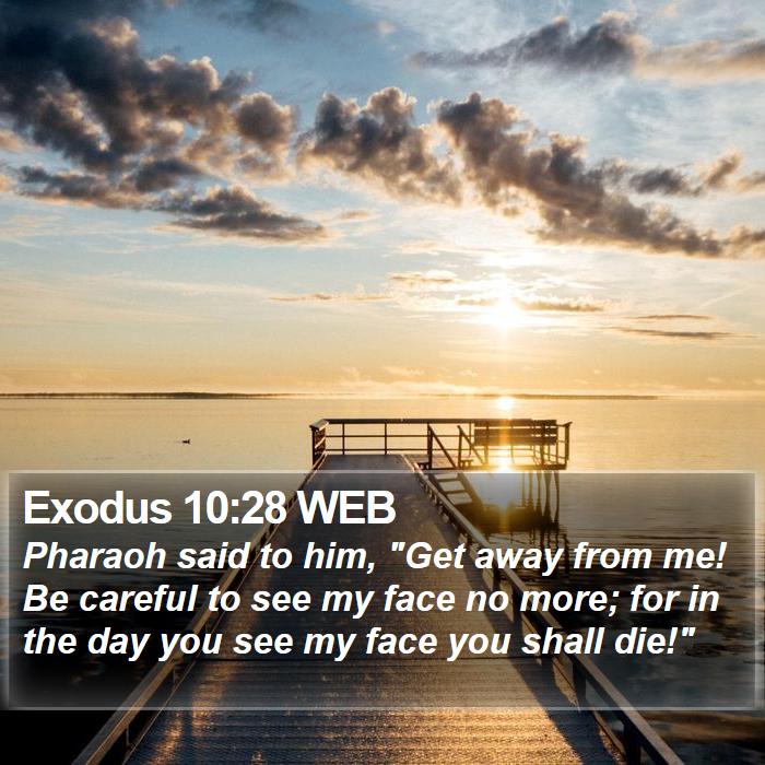 Exodus 10:28 WEB Bible Study