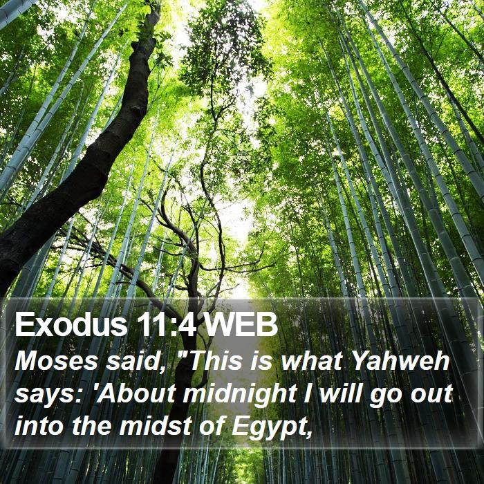 Exodus 11:4 WEB Bible Study