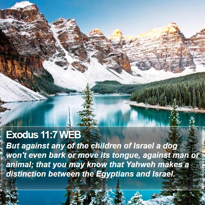 Exodus 11:7 WEB Bible Study