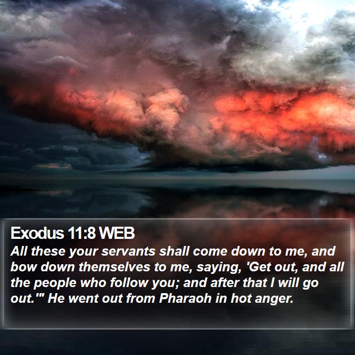 Exodus 11:8 WEB Bible Study