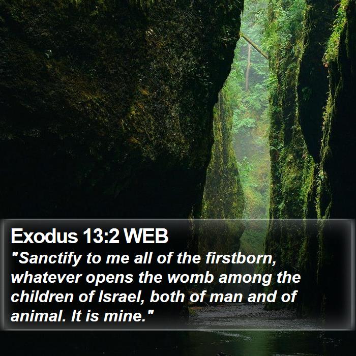 Exodus 13:2 WEB Bible Study