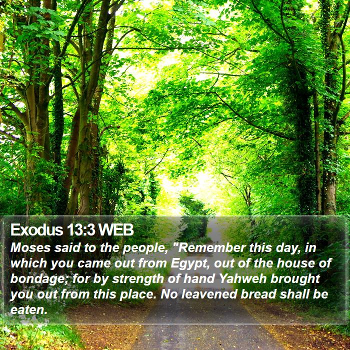 Exodus 13:3 WEB Bible Study