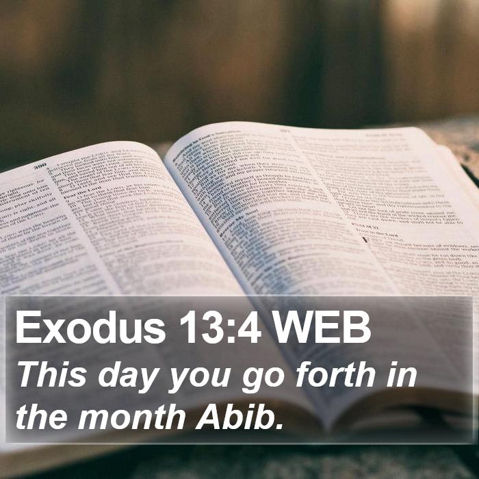 Exodus 13:4 WEB Bible Study