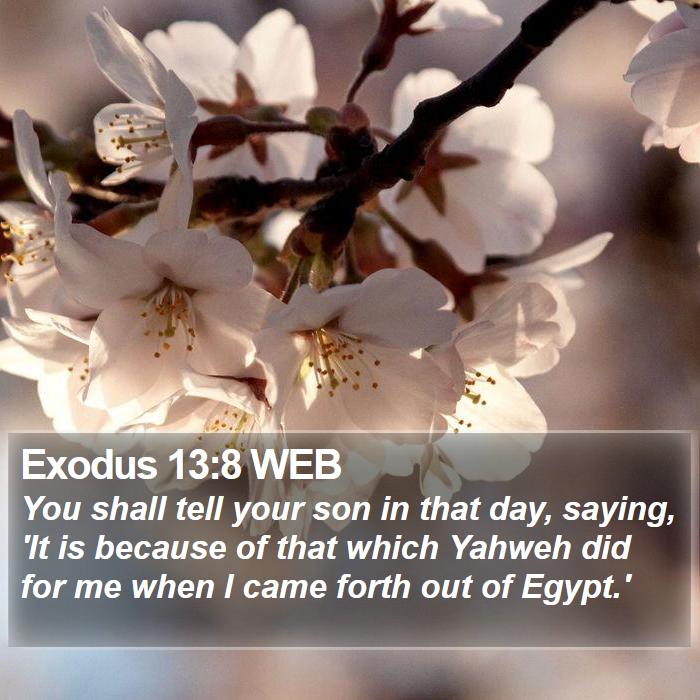 Exodus 13:8 WEB Bible Study