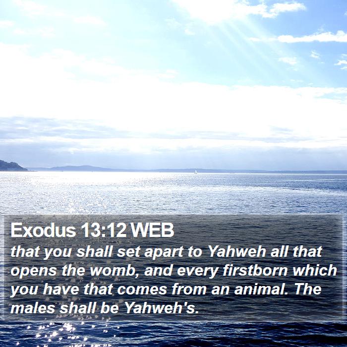 Exodus 13:12 WEB Bible Study