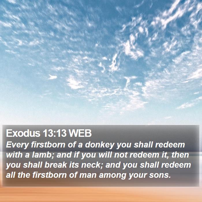 Exodus 13:13 WEB Bible Study