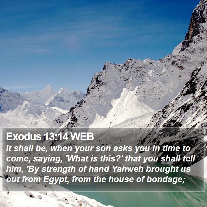 Exodus 13:14 WEB Bible Study