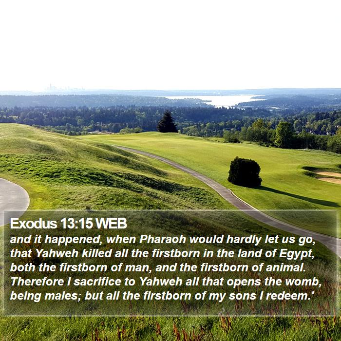 Exodus 13:15 WEB Bible Study