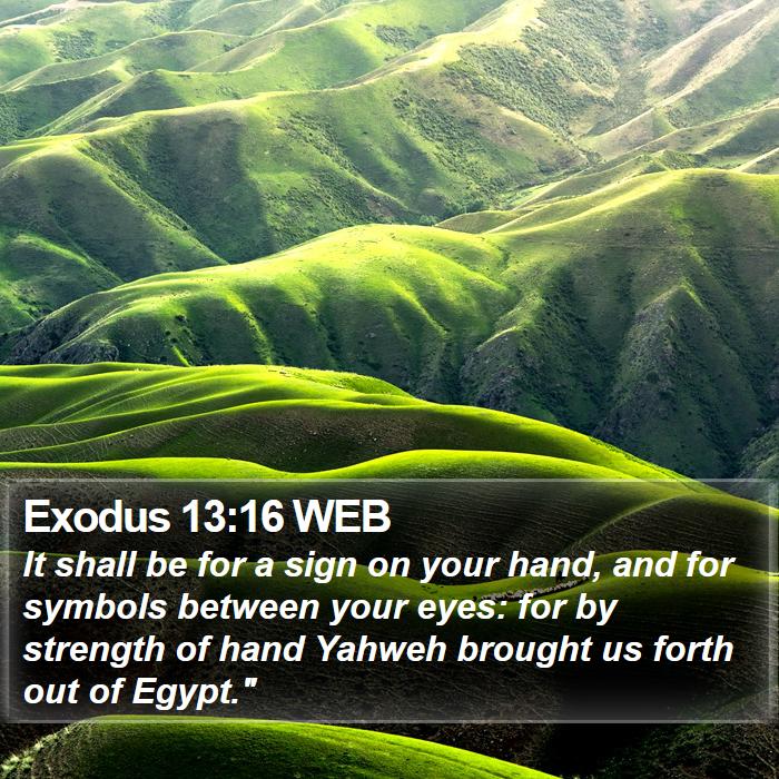 Exodus 13:16 WEB Bible Study