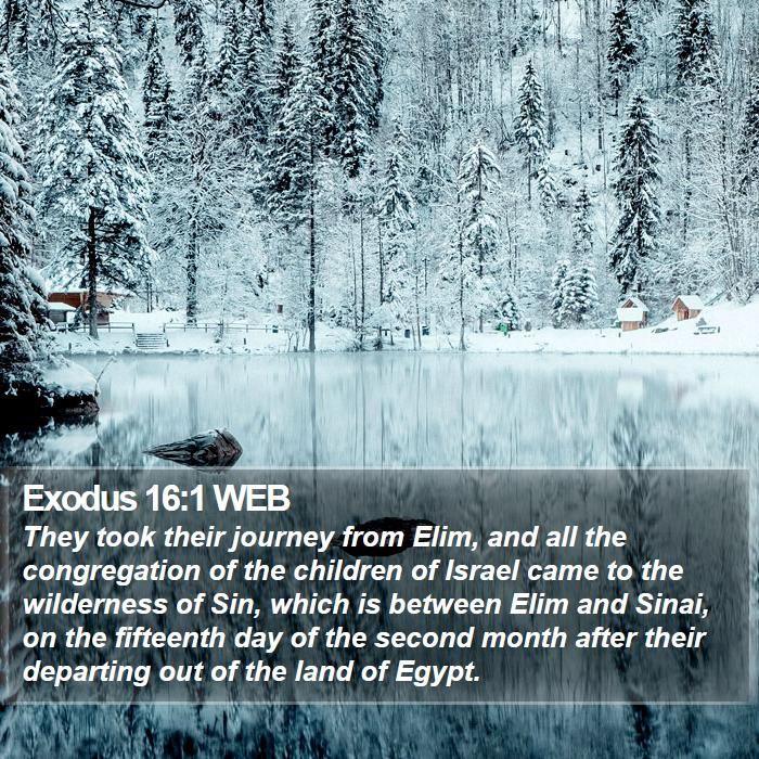 Exodus 16:1 WEB Bible Study