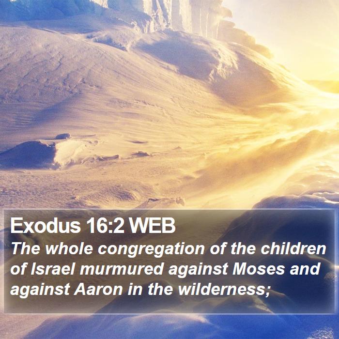 Exodus 16:2 WEB Bible Study