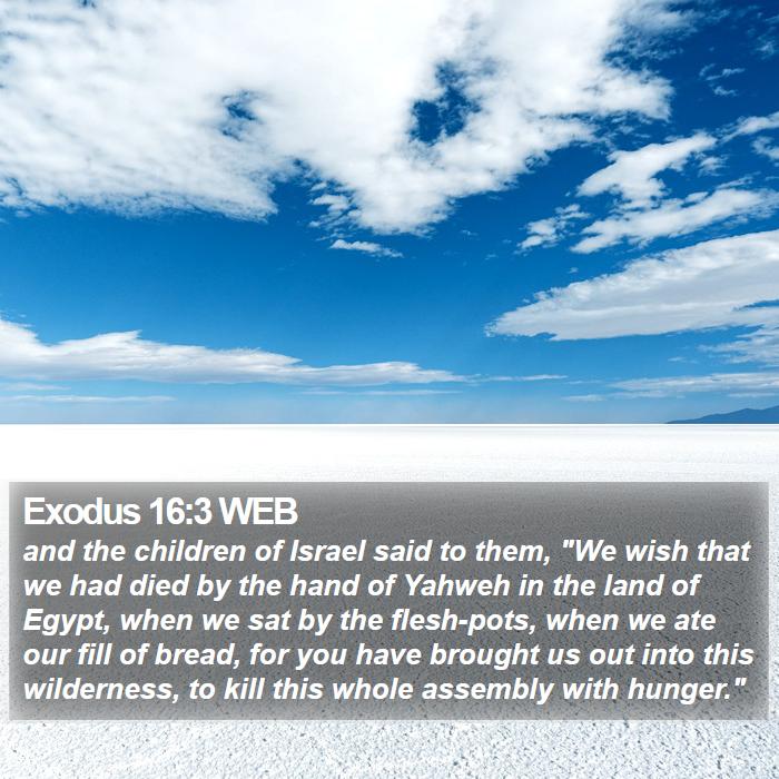 Exodus 16:3 WEB Bible Study