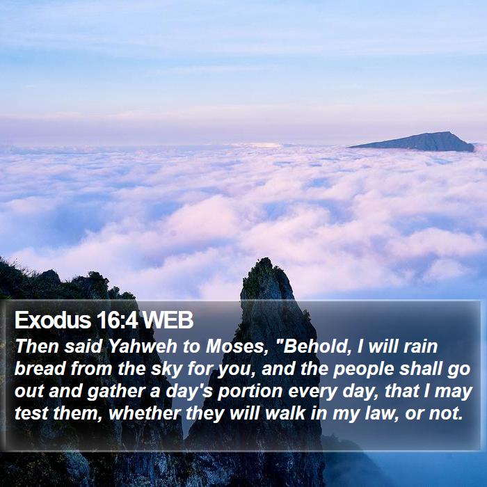 Exodus 16:4 WEB Bible Study