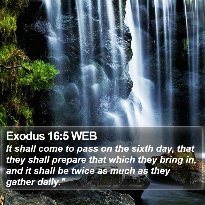 Exodus 16:5 WEB Bible Study