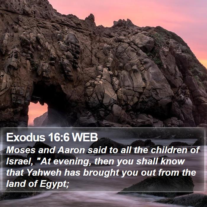 Exodus 16:6 WEB Bible Study