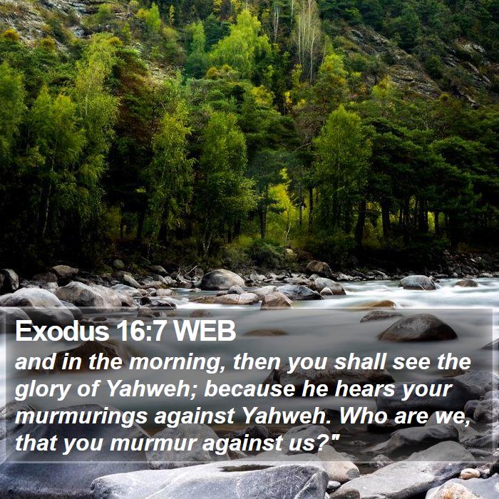 Exodus 16:7 WEB Bible Study