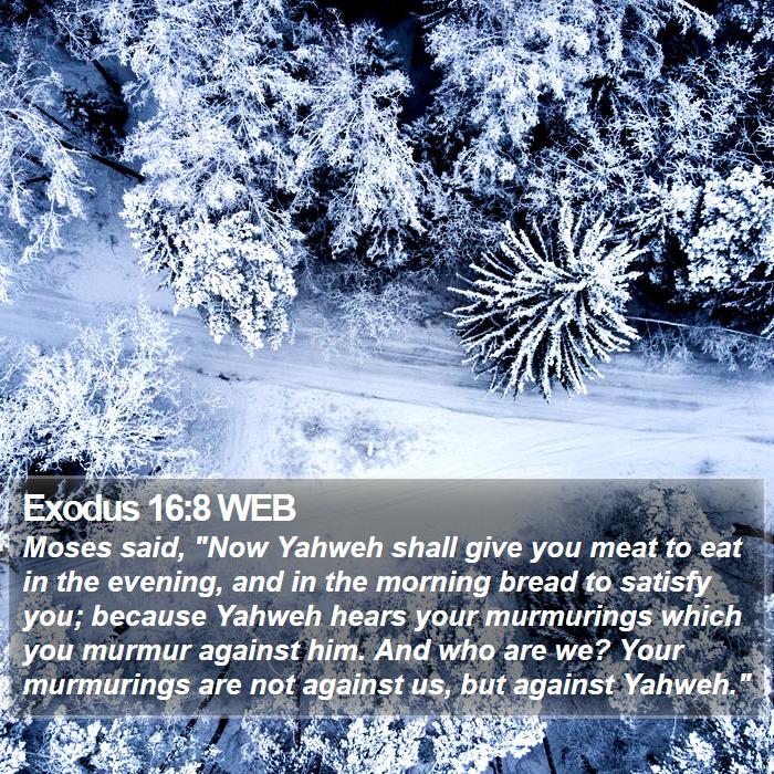 Exodus 16:8 WEB Bible Study