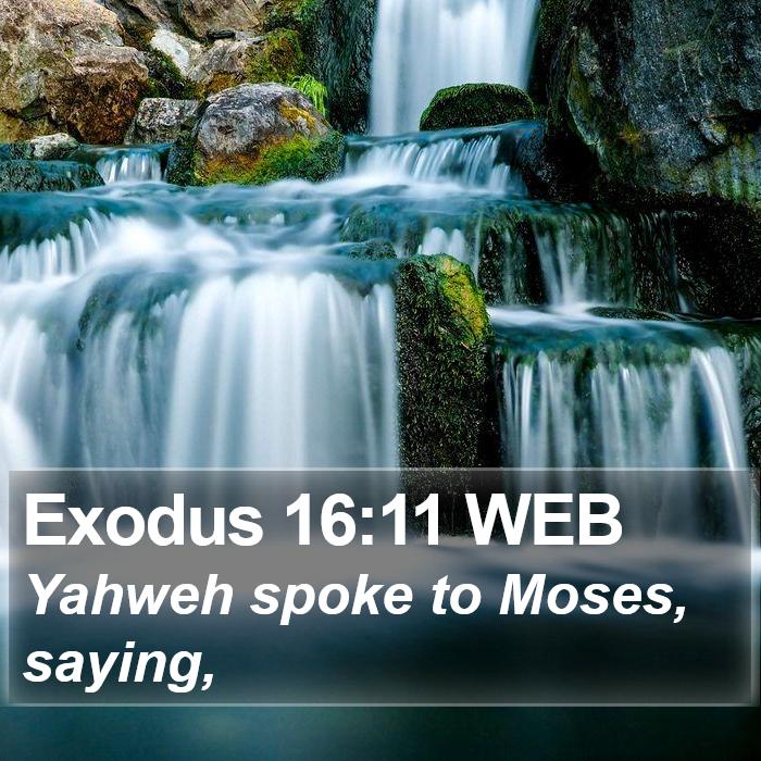 Exodus 16:11 WEB Bible Study