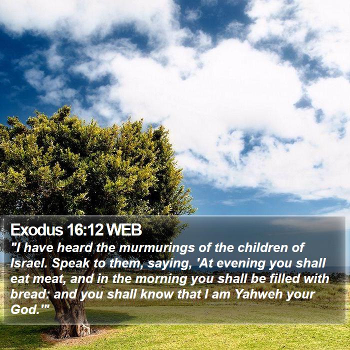 Exodus 16:12 WEB Bible Study