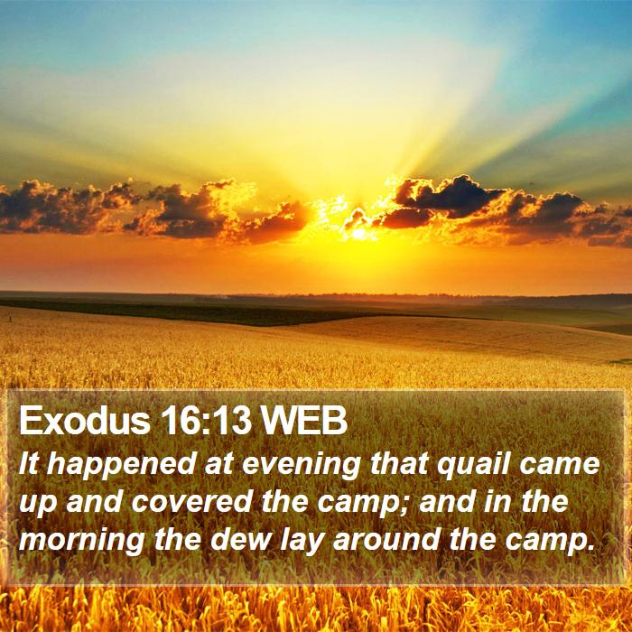 Exodus 16:13 WEB Bible Study