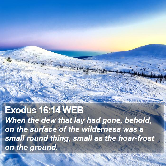 Exodus 16:14 WEB Bible Study