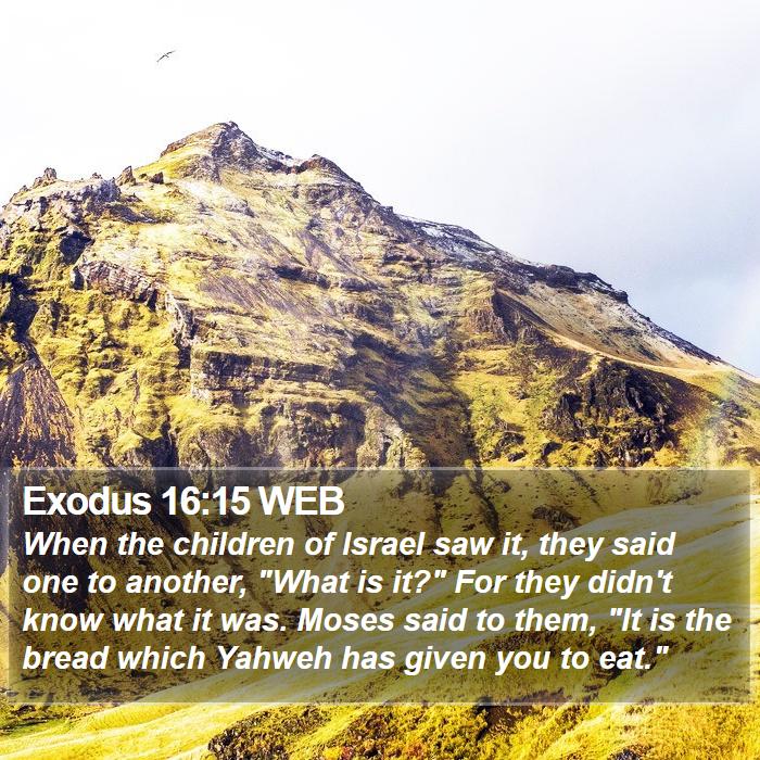 Exodus 16:15 WEB Bible Study