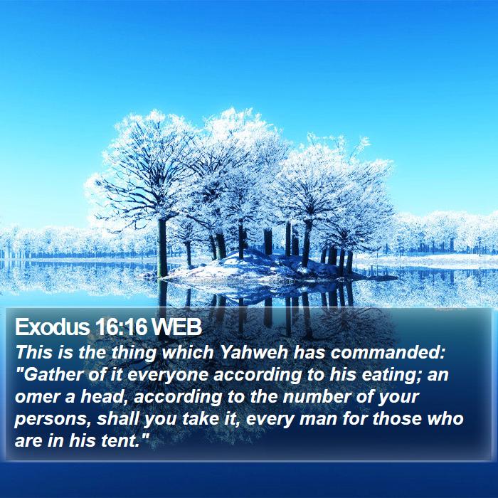 Exodus 16:16 WEB Bible Study