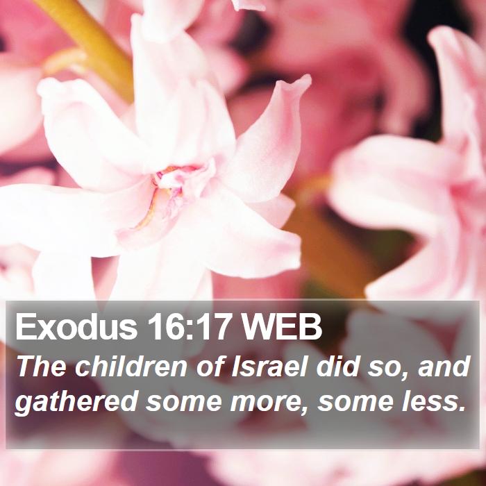 Exodus 16:17 WEB Bible Study