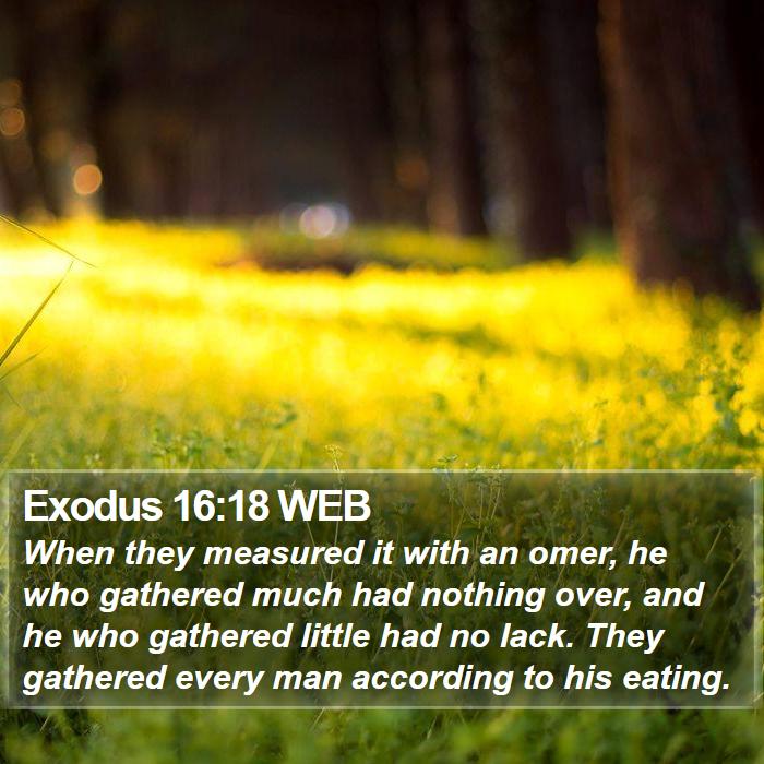 Exodus 16:18 WEB Bible Study