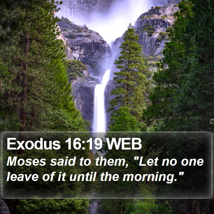 Exodus 16:19 WEB Bible Study