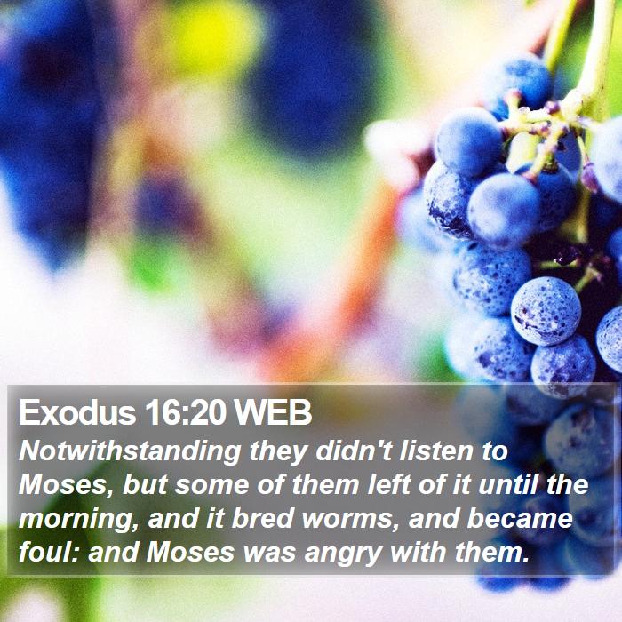 Exodus 16:20 WEB Bible Study