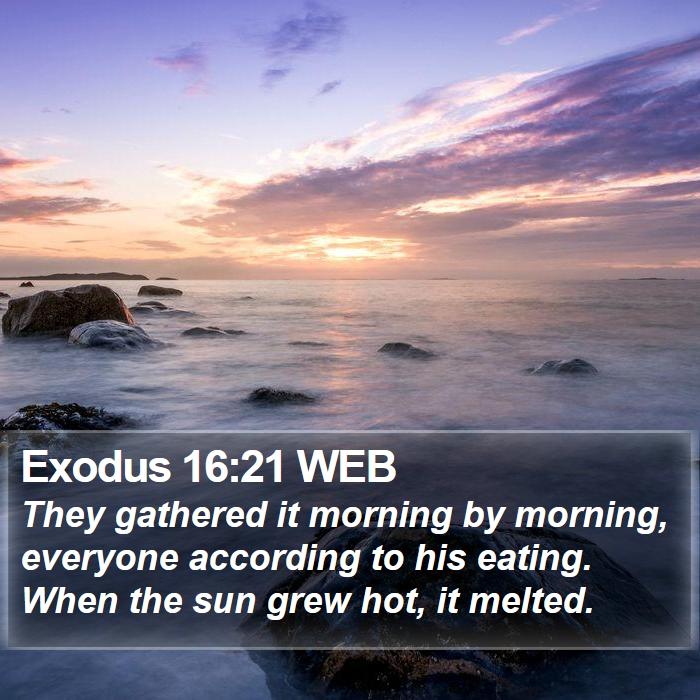 Exodus 16:21 WEB Bible Study