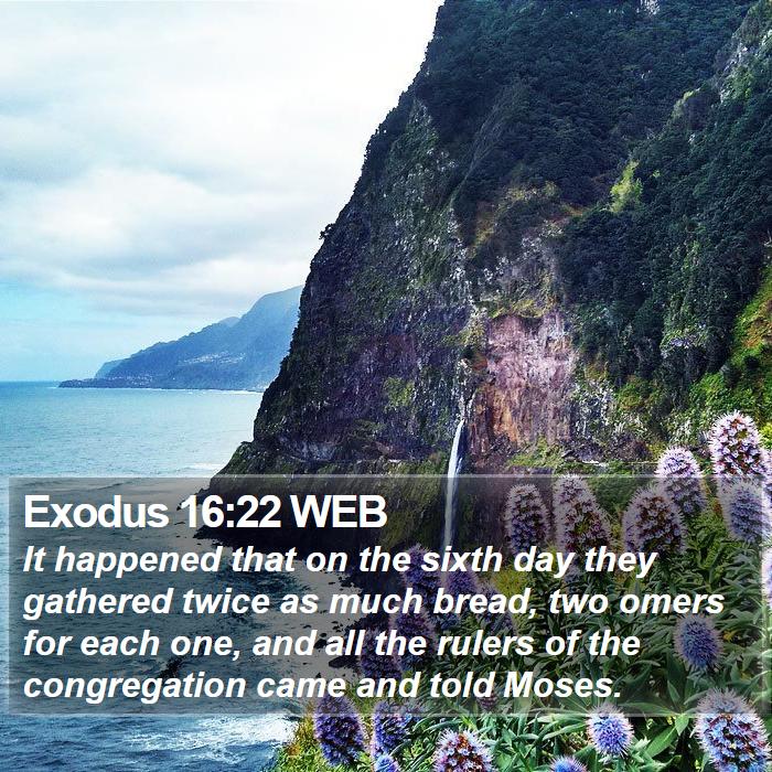 Exodus 16:22 WEB Bible Study