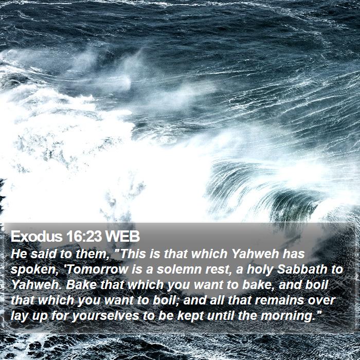 Exodus 16:23 WEB Bible Study