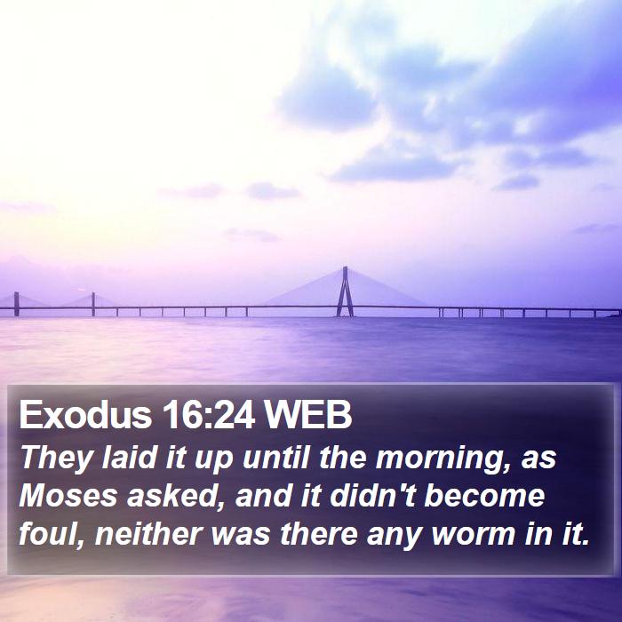 Exodus 16:24 WEB Bible Study