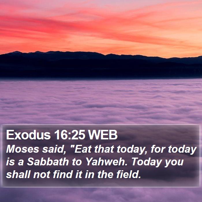 Exodus 16:25 WEB Bible Study