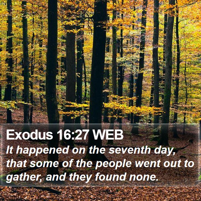 Exodus 16:27 WEB Bible Study